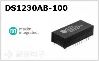 DS1230AB-100