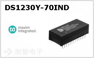 DS1230Y-70IND