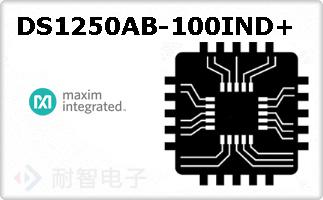 DS1250AB-100IND+
