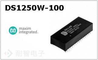 DS1250W-100
