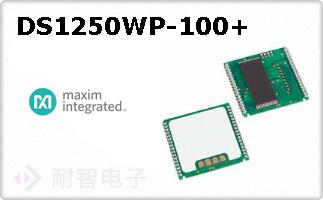 DS1250WP-100+