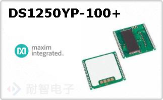 DS1250YP-100+