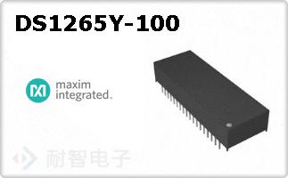 DS1265Y-100