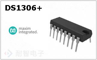 DS1306+