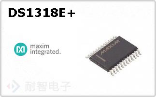 DS1318E+
