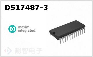 DS17487-3