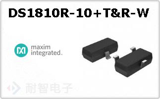 DS1810R-10+T&R-W