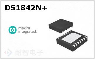 DS1842N+