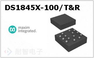 DS1845X-100/T&R