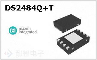 DS2484Q+T