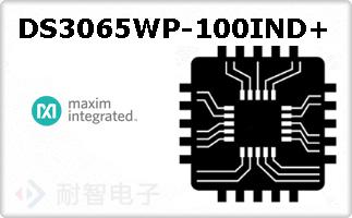 DS3065WP-100IND+ͼƬ