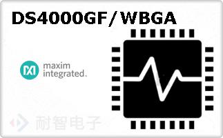 DS4000GF/WBGA
