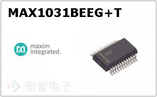 MAX1031BEEG+T