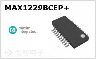 MAX1229BCEP+