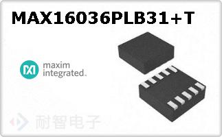 MAX16036PLB31+T