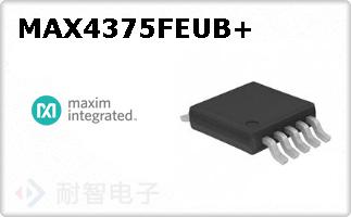 MAX4375FEUB+