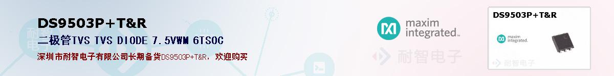 DS9503P+T&R�ı��ۺͼ�������