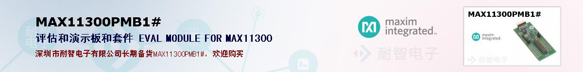 MAX11300PMB1#ıۺͼ