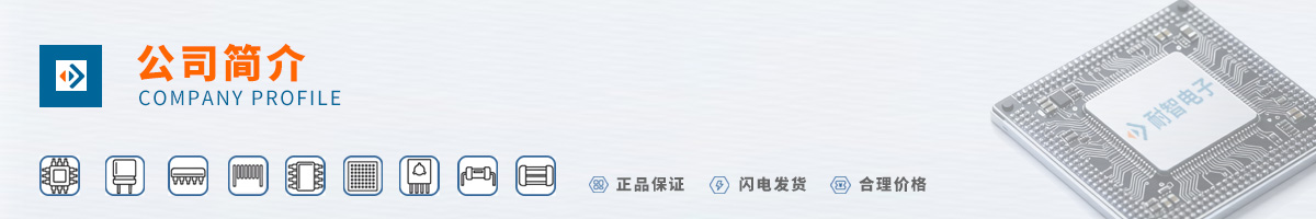 ����(Maxim)��˾����