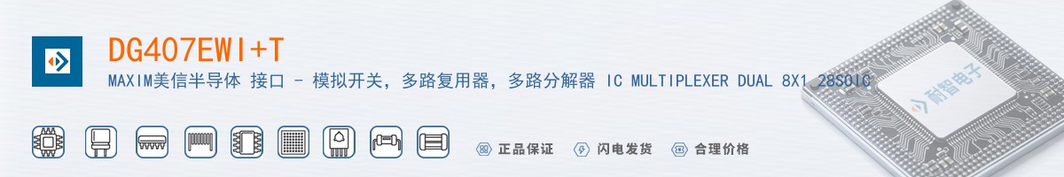 DG407EWI+T������