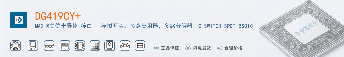 DG419CY������