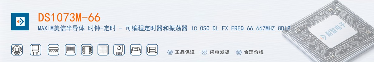 DS1073M-66������