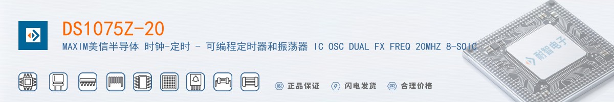 DS1075Z-20������
