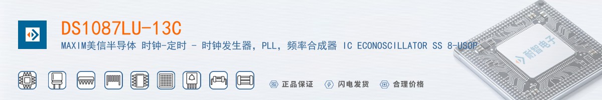 DS1087LU-13C������