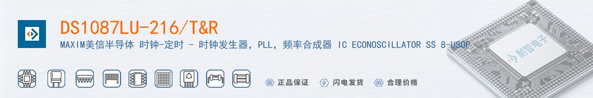 DS1087LU-216/T&R������