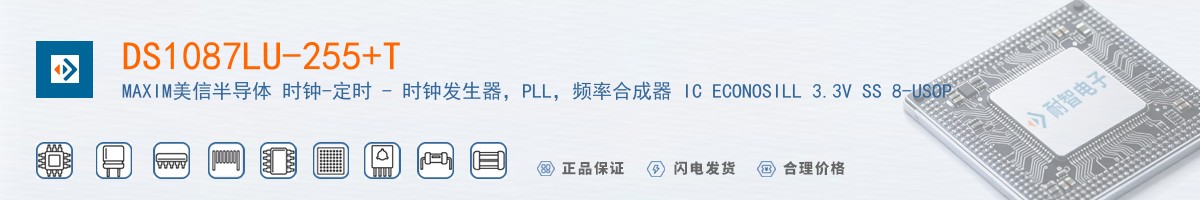 DS1087LU-255+T������