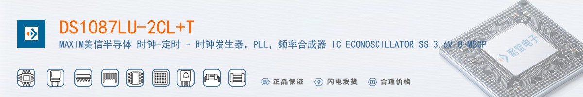 DS1087LU-2CL+T������