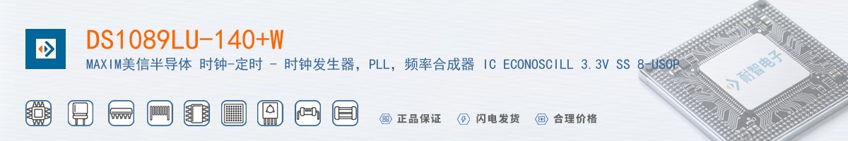 DS1089LU-140+W������