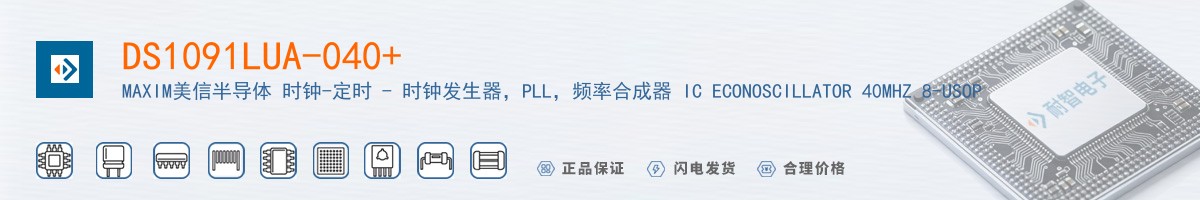 DS1091LUA-040+������