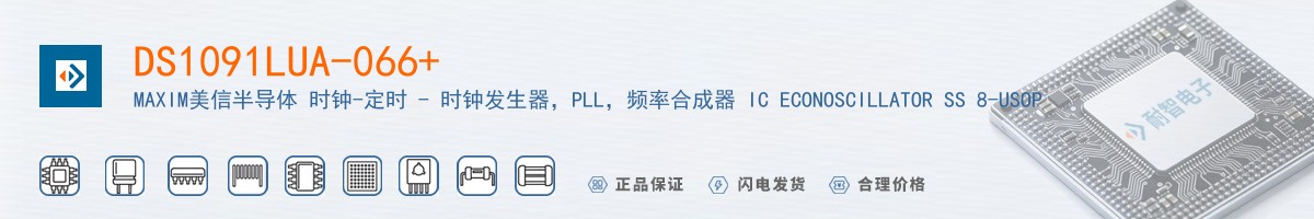 DS1091LUA-066+������