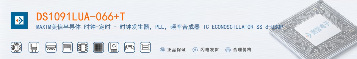 DS1091LUA-066+T������