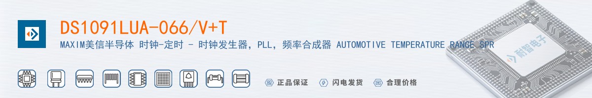 DS1091LUA-066/V+T������