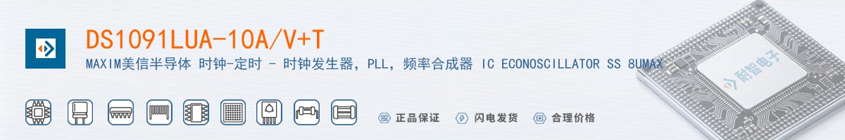 DS1091LUA-10A/V+T������