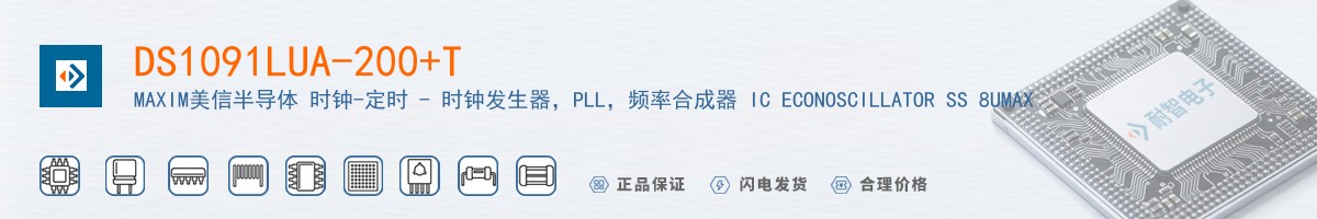 DS1091LUA-200+T������