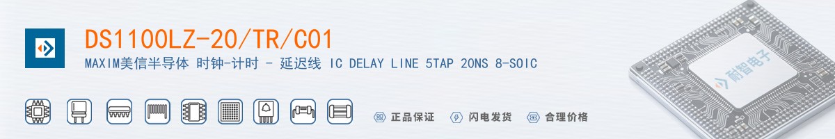 DS1100LZ-20/TR/C01������