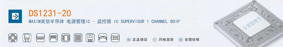 DS1231-20+������
