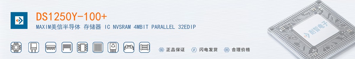 DS1250Y-100+������