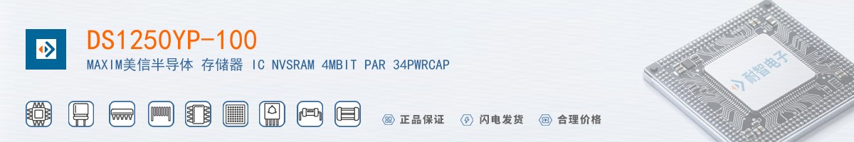 DS1250YP-100������