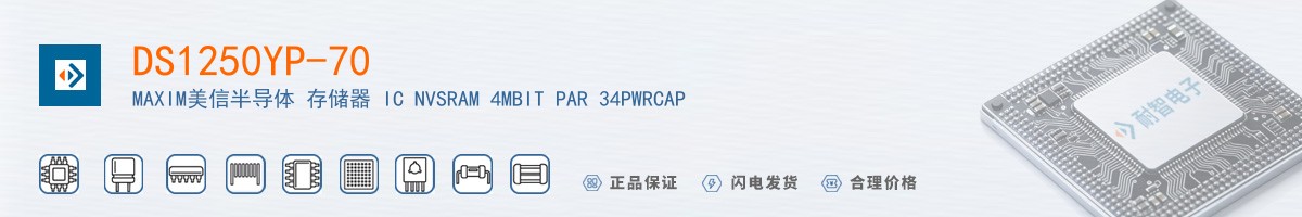 DS1250YP-70+������