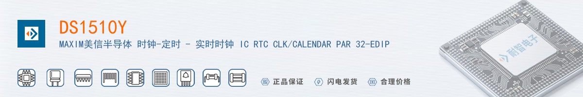 DS1510Y������