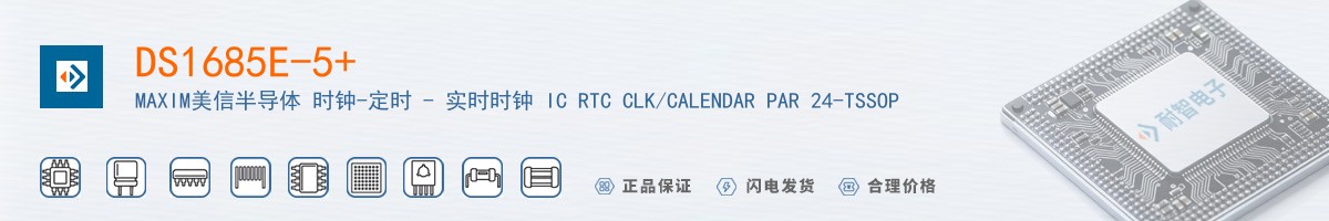 DS1685E-5+������