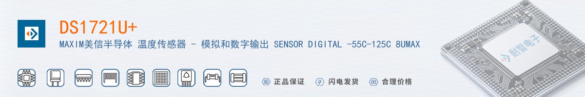 DS1721U������