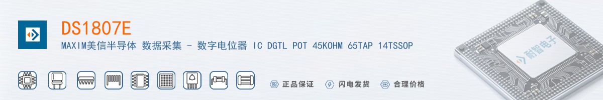 DS1807E������