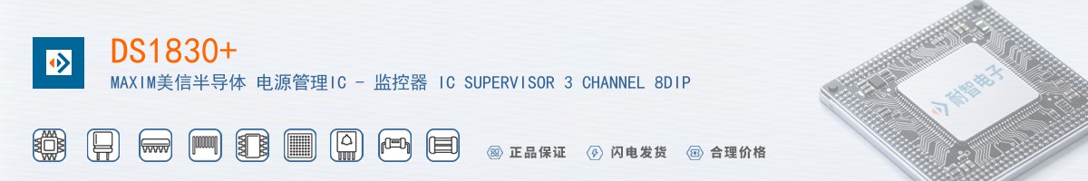 DS1830������