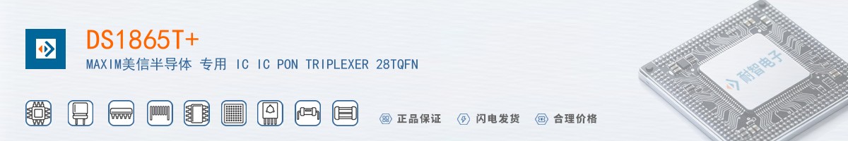 DS1865T+������