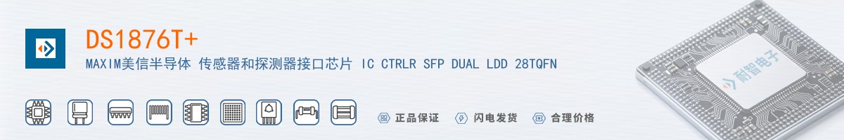 DS1876T+������